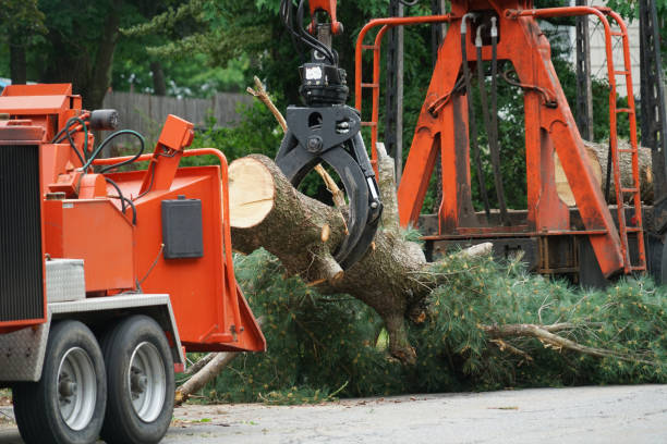 Lawn Watering Services in Palmyra, NJ